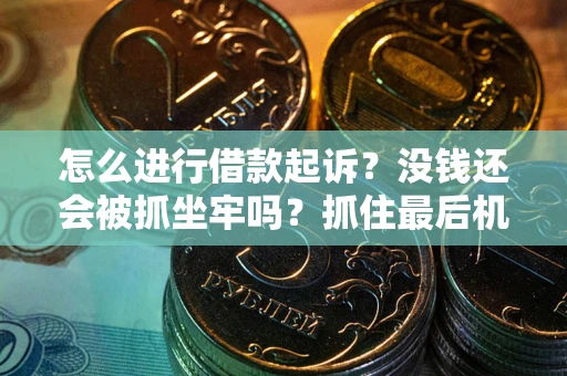 济南怎么进行借款起诉？没钱还会被抓坐牢吗？抓住最后机会！