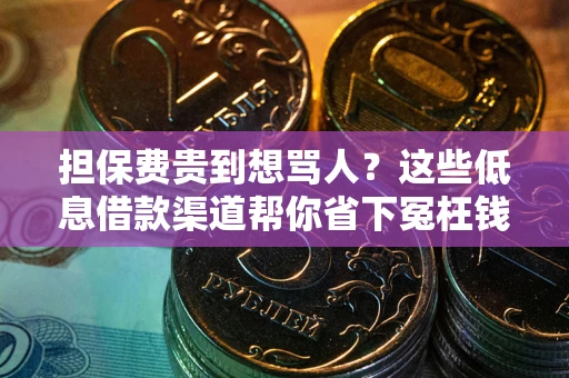 济南担保费贵到想骂人？这些低息借款渠道帮你省下冤枉钱